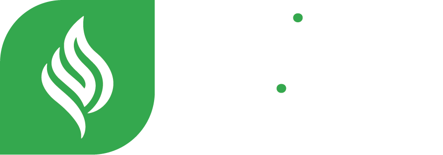 Business Enlight